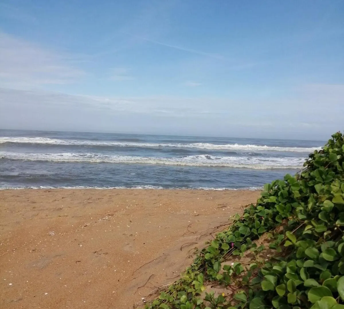 シャレー Shoreline Secrets Thrissur