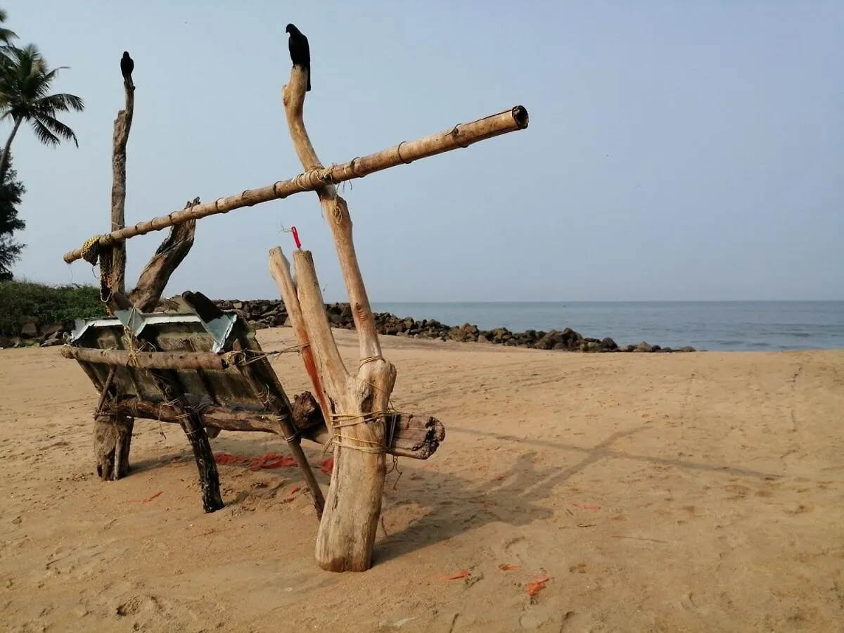 Shoreline Secrets Thrissur インド